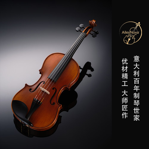 AileyNova乐动V21全手工小提琴