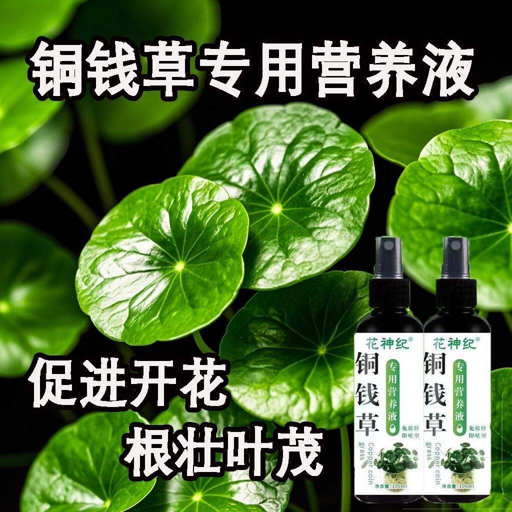 【植物疯长】铜钱草营养液免稀释专用肥预防黄叶干枯促发芽长绿叶