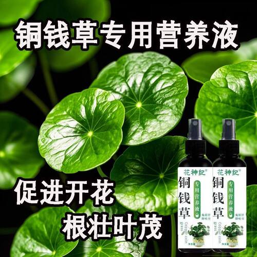 【植物疯长】铜钱草营养液免稀释专用肥预防黄叶干枯促发芽长绿叶
