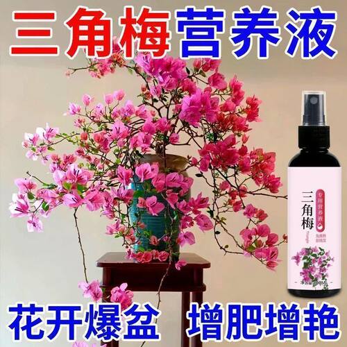 一滴花满盆】三角梅专用营养液治黄叶落叶枯萎不开花催芽促花肥料