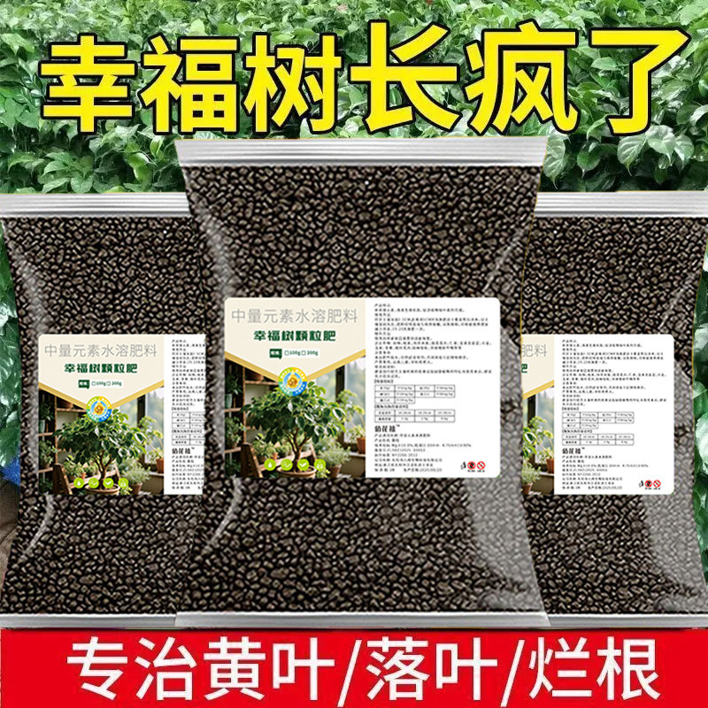 幸福树专用肥缓释肥生根壮苗防黄叶枯叶掉叶家用盆栽颗粒有机肥料