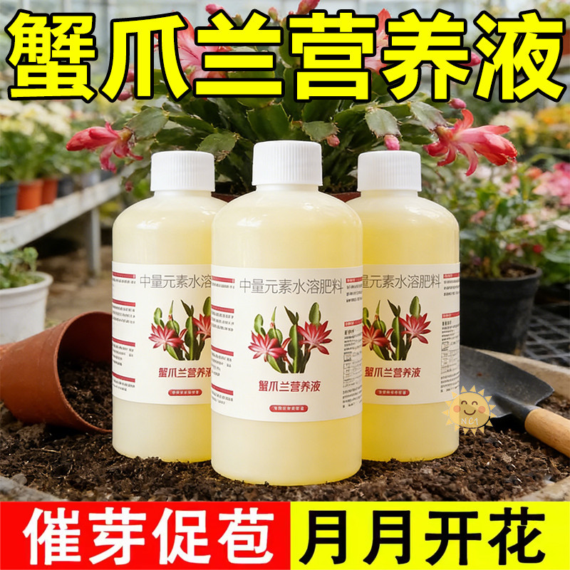蟹爪兰专用肥料养花肥料蟹爪兰四季开花营养液花肥料养花专用肥料
