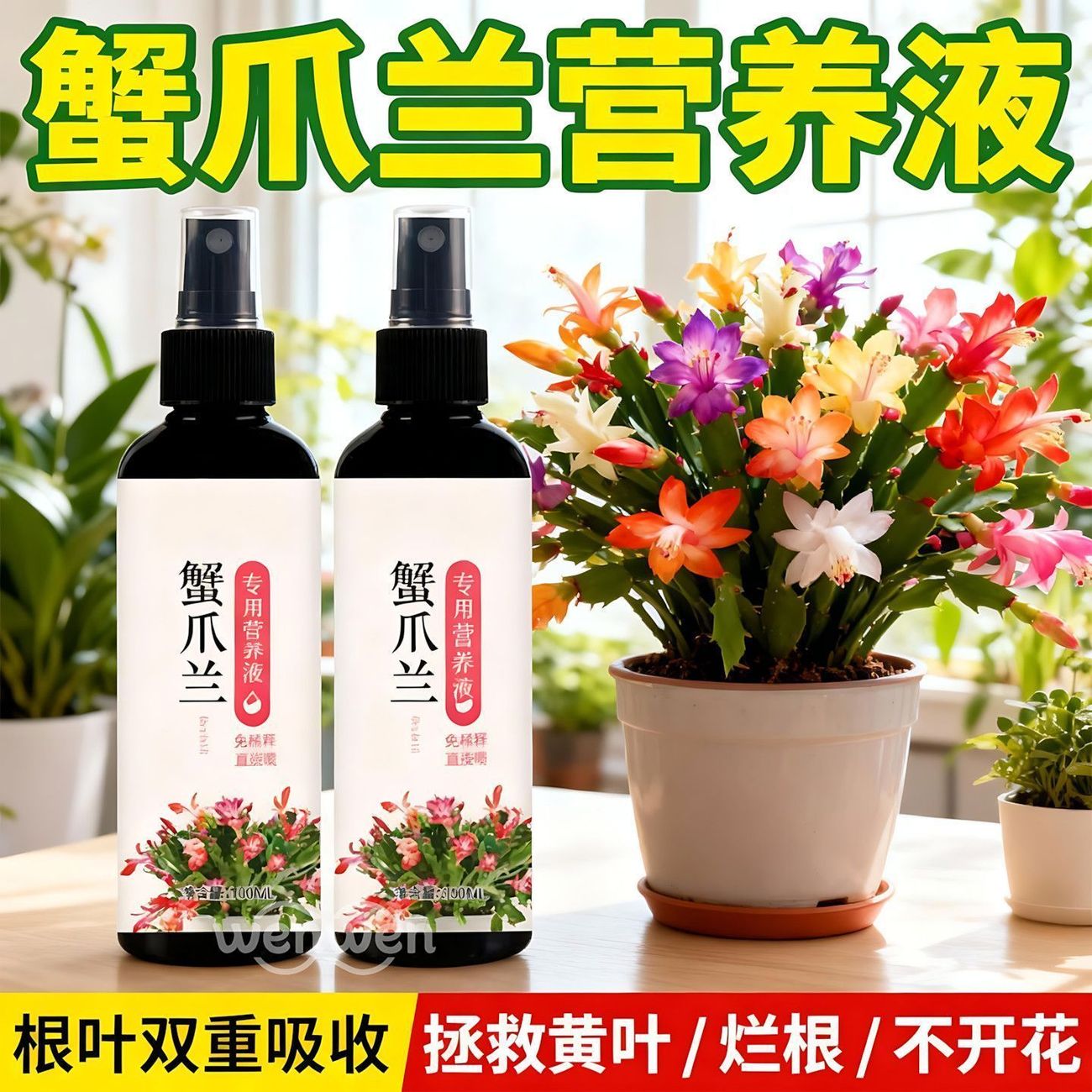 蟹爪兰专用营养液专用肥植物液体肥花肥增绿促开花肥料通用土壤