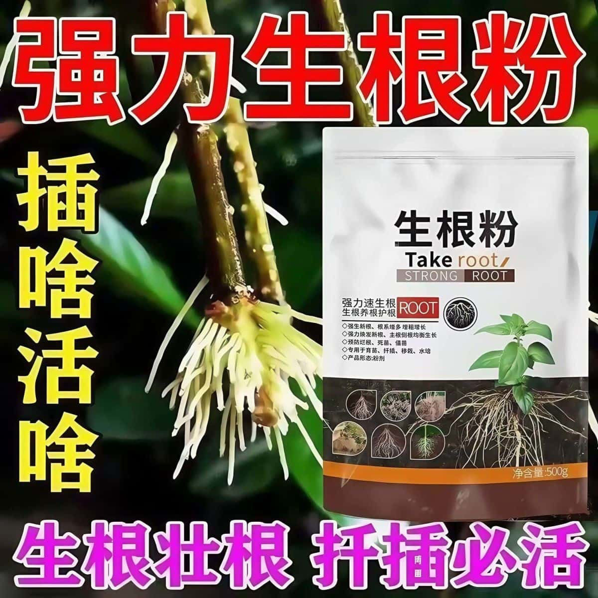 强力快速生根粉正品发根多菌肥花卉扦插移栽壮根壮苗植物发根批发