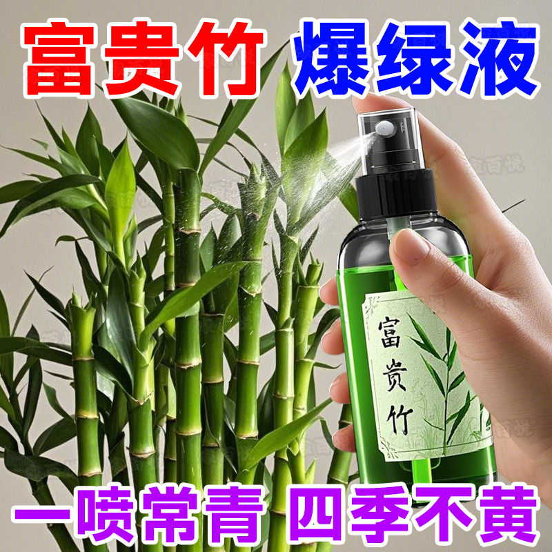 新店特惠】富贵竹营养液专用肥一喷绿叶子发黄干尖枯瘦烂根促长