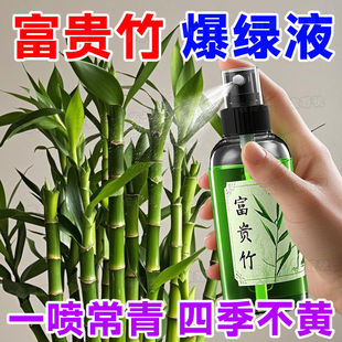 新店特惠】富贵竹营养液专用肥一喷绿叶子发黄干尖枯瘦烂根促长