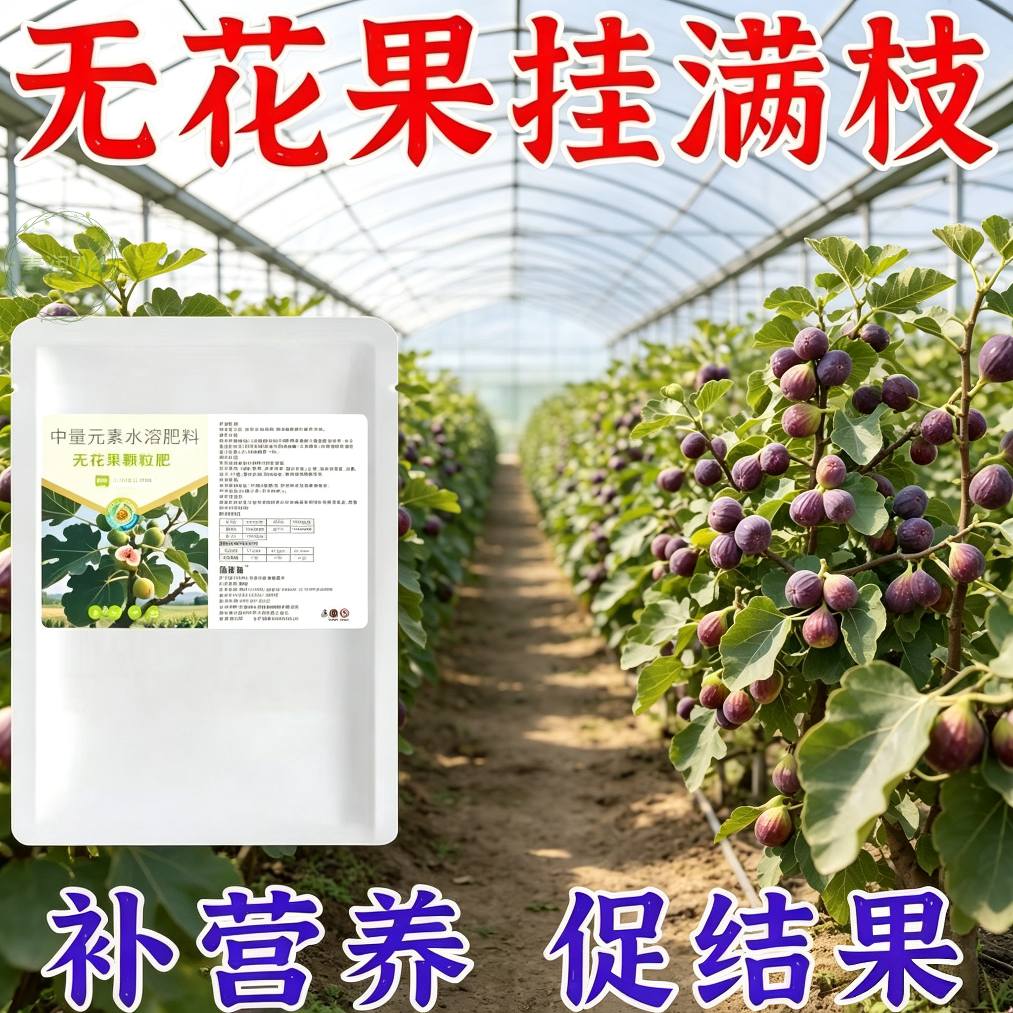 无花果专用颗粒肥促生长开花果大果多长势旺盛中量元素水溶肥料
