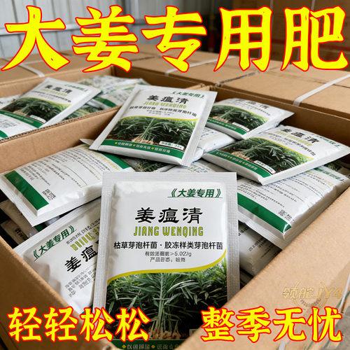 姜瘟清大姜黄叶干尖微生物菌剂