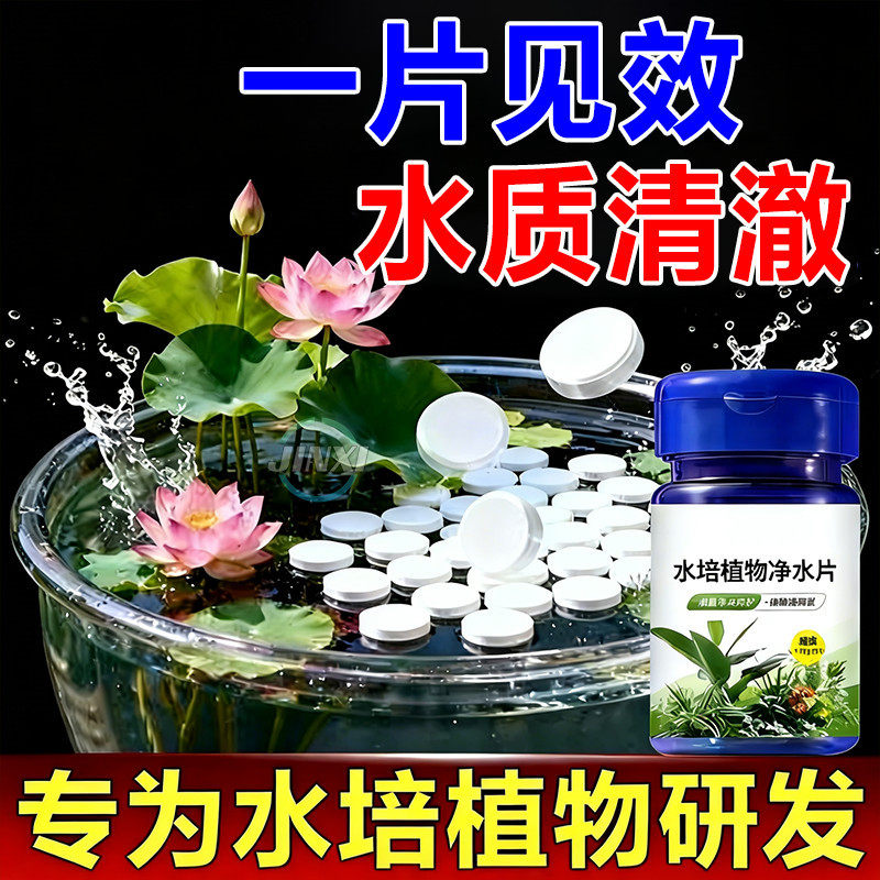 碗莲荷花净水片催芽睡莲开花黄叶叶面黑烂叶增肥水培绿植专用通用