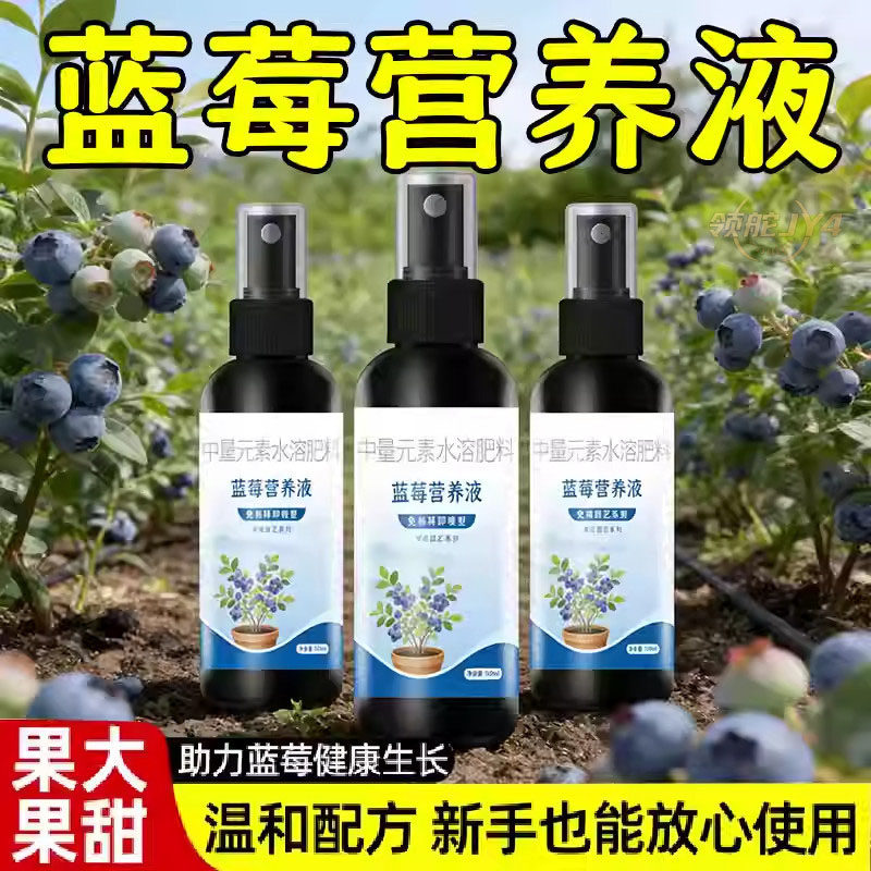 蓝莓营养液生长期促花防黄叶