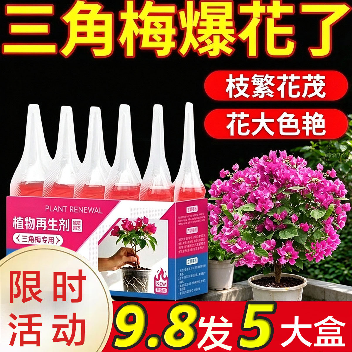 庭院花墙三角梅再生营养液养花肥壮根促花四季养护防落蕾花开更久