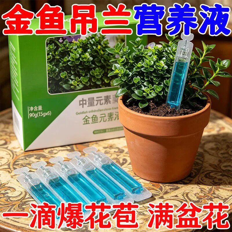 【1.9元1盒】金鱼吊兰专用营养液促开花爆盆防黄叶掉花苞枯萎