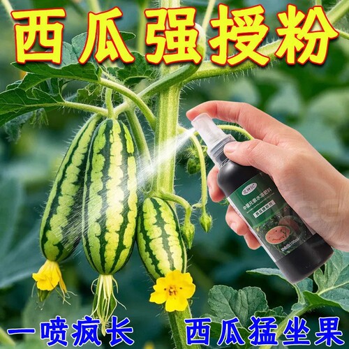 新款西瓜授粉剂点花药免沾花授粉坐果精保花保果素防落防畸叶面肥