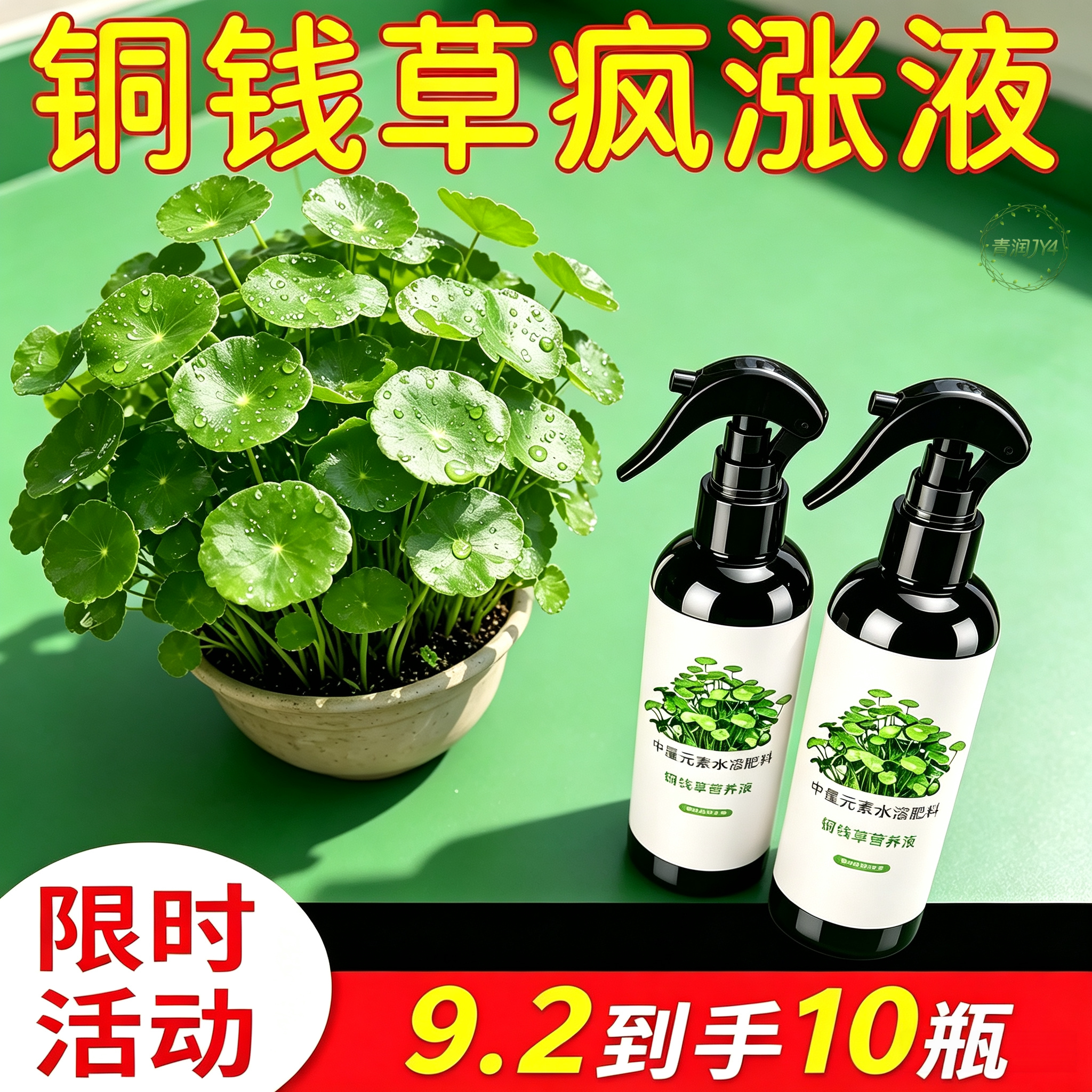 铜钱草专用营养液免稀释专用肥水培营养液植物肥料预防黄叶促发芽