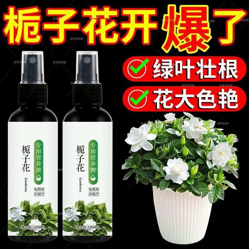 栀子花专用营养液盆栽水培通用