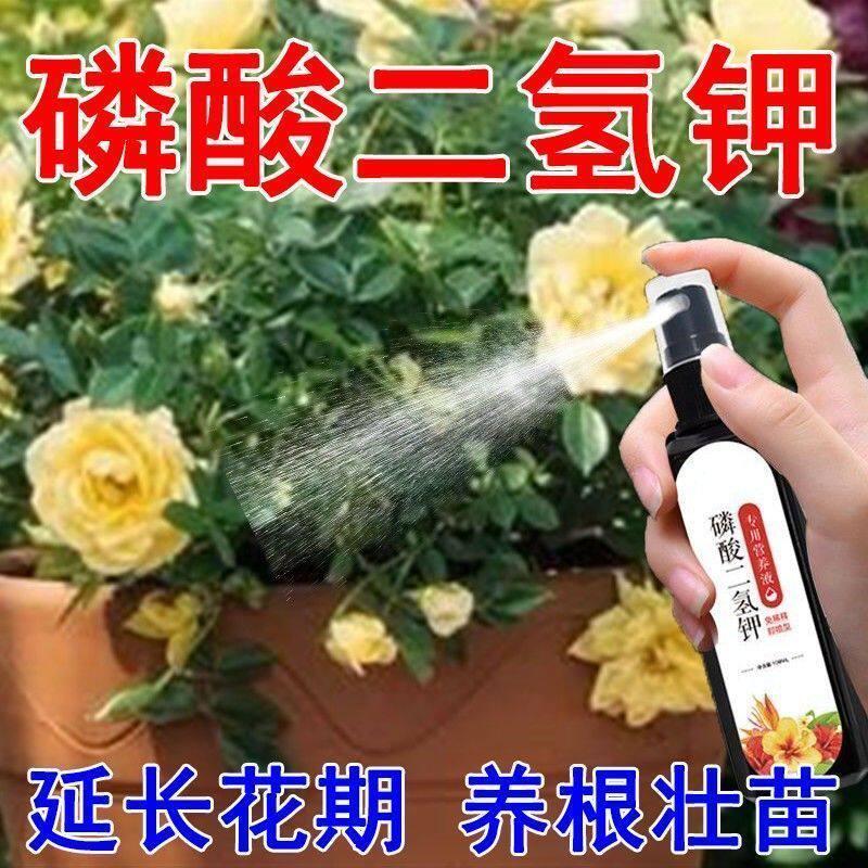 磷酸二氢钾花卉叶面肥延长花期