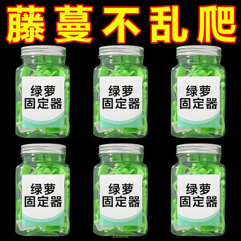 绿萝月季强力粘爬墙固定器