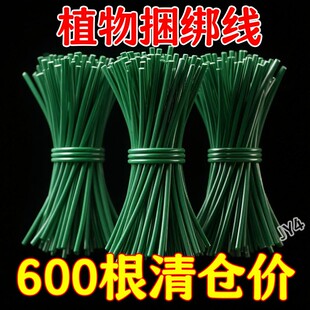 耐腐蚀加粗绑线园艺捆绑带通用任意弯曲定型花卉果蔬绑扎持久稳固