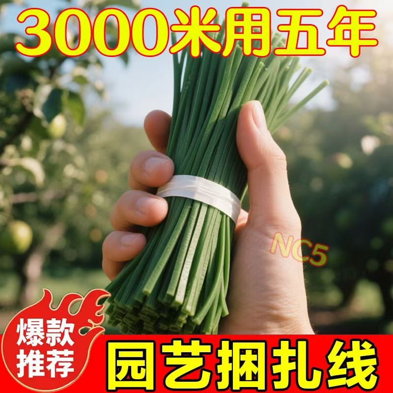 园艺造型铁丝花架支架DIY制作材料蟹爪兰围圈包塑铁丝爬藤牵引绳