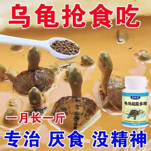 乌龟烂甲不爱吃饭多维片