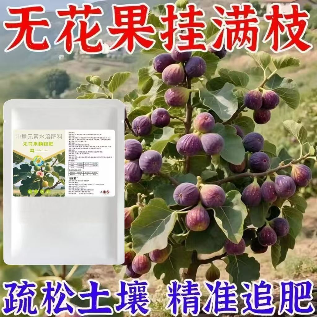 无花果专用肥缓施肥促果营养肥催开花结果生根果树盆栽肥料