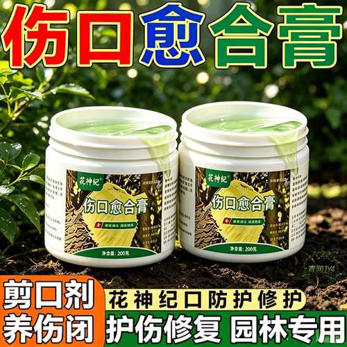 果树盆栽大树伤口愈合涂膜剂