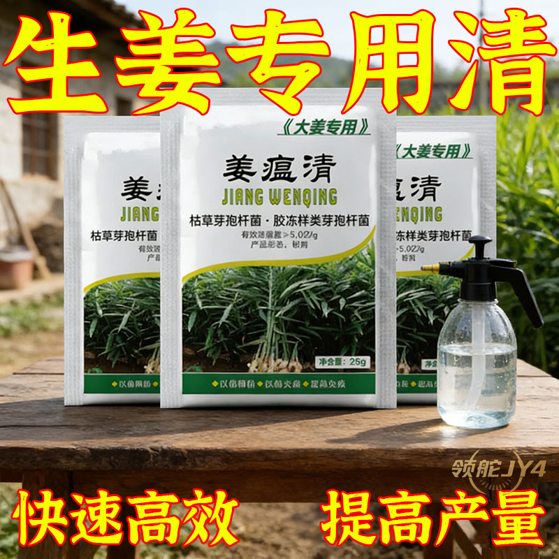 姜瘟清姜病专用生姜微生物菌剂大姜烂脖病茎基腐病黄叶干尖园艺