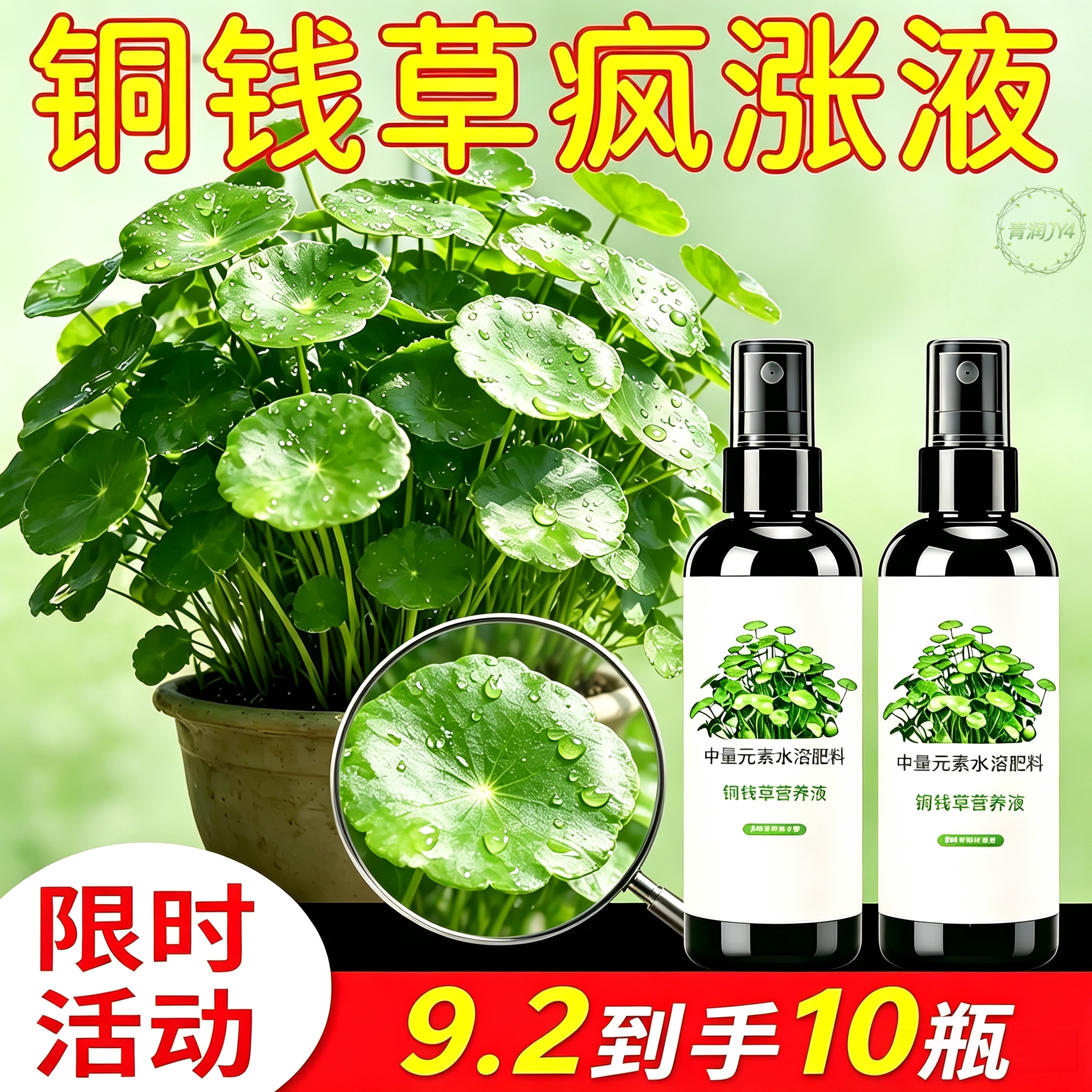 【四季常绿】铜钱草营养液免稀释专用肥预防黄叶干枯促发芽长绿叶