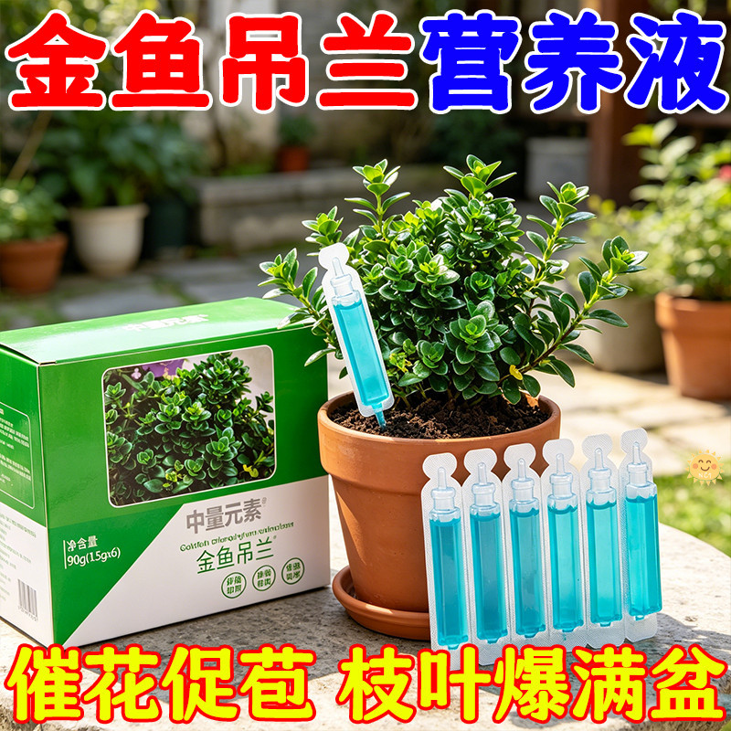 【1.9元1盒】盒装金鱼吊兰营养液专用肥促根壮花叶片油绿花苞