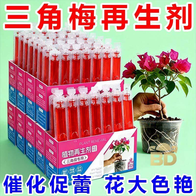 三角梅再生剂爆芽素营养液促芽专用修剪后萌芽快秃杆救星盆栽正品