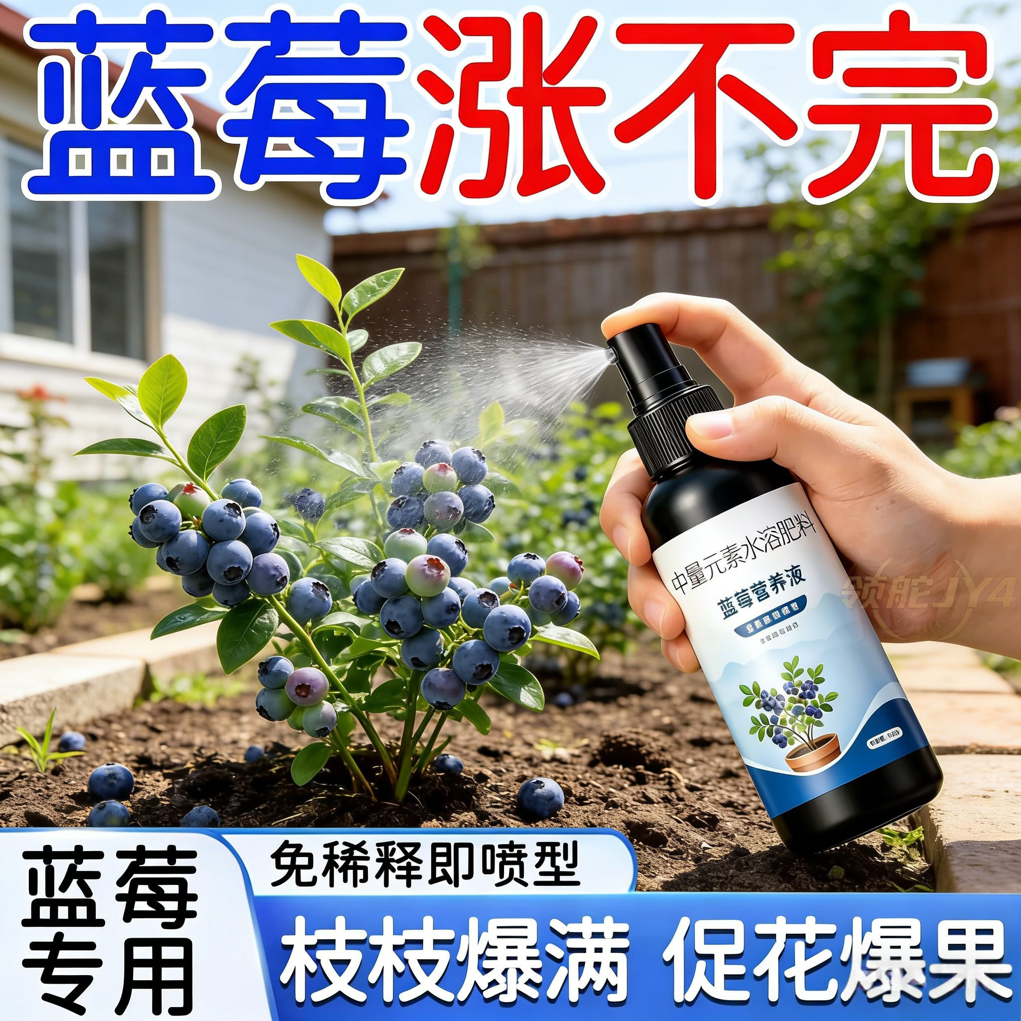 蓝莓专用营养液促花挂果增甜