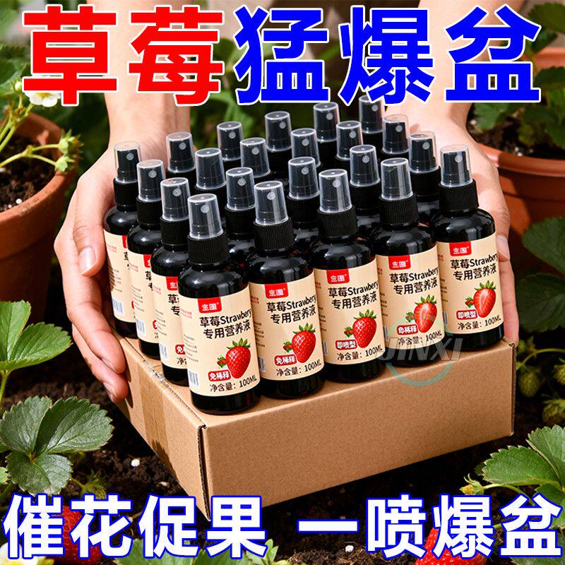 草莓营养液蓝莓专用肥防黄叶