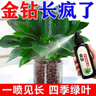 金钻营养液通用浓缩植物形水培肥专用叶子发黄烂根催芽免稀释牙粉