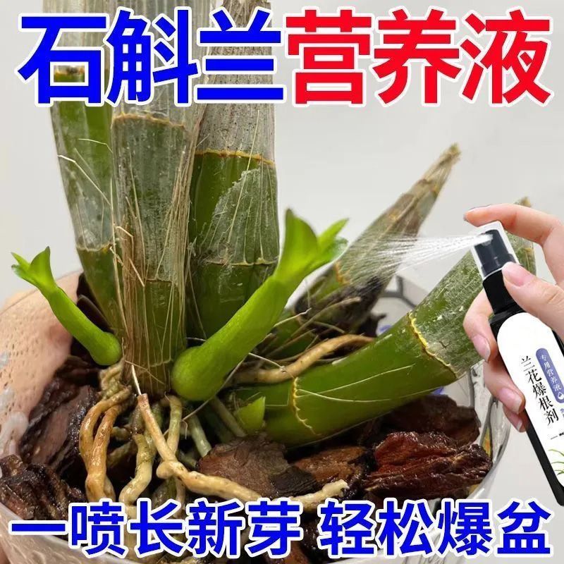 兰花专用爆根芽促苞营养液