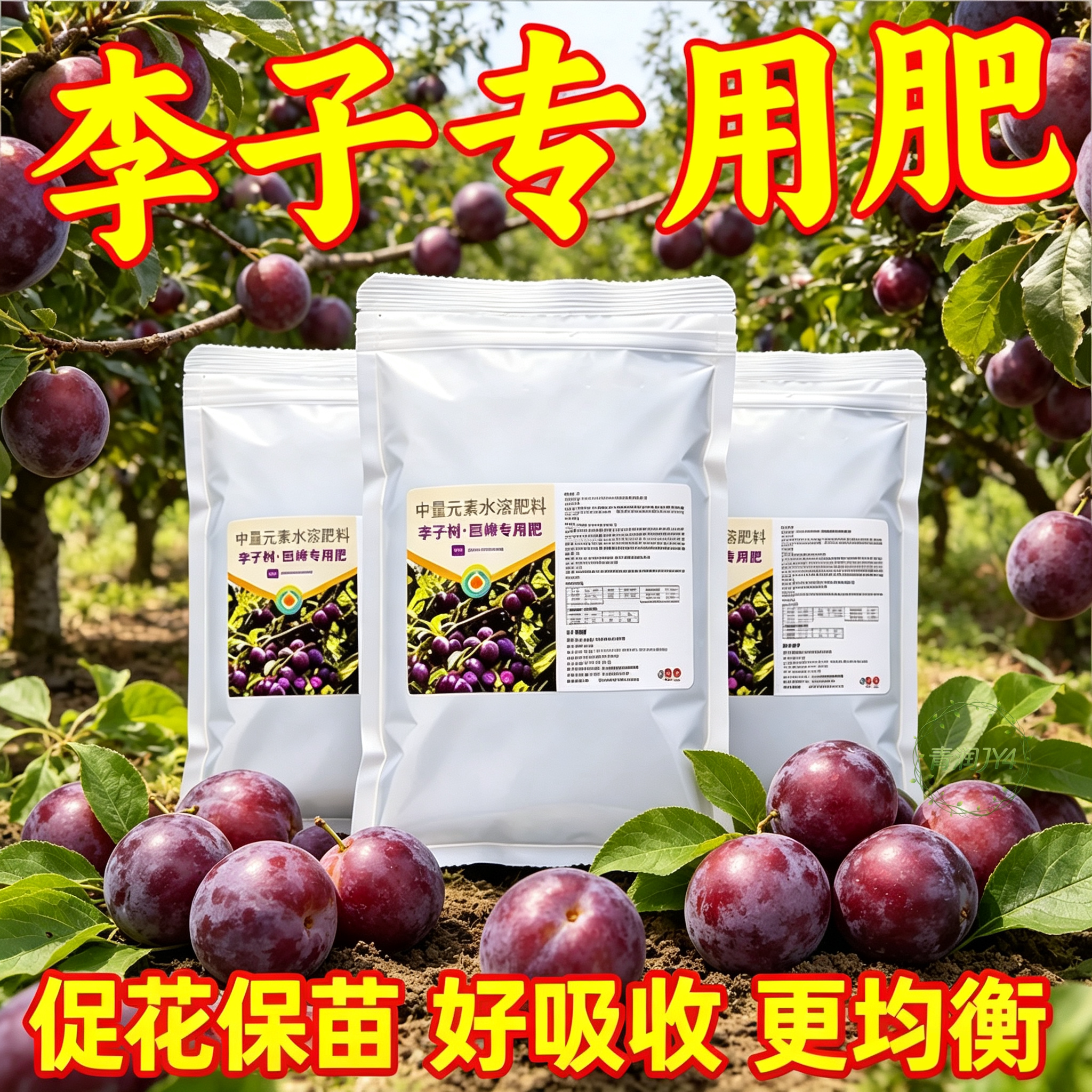 西梅月子肥生根壮苗促花坐果