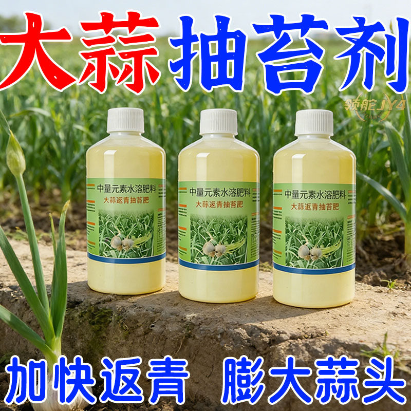 大蒜返青抽苔肥大蒜反青蒜头松口剂蒜苔抽苔剂增产专用水溶肥
