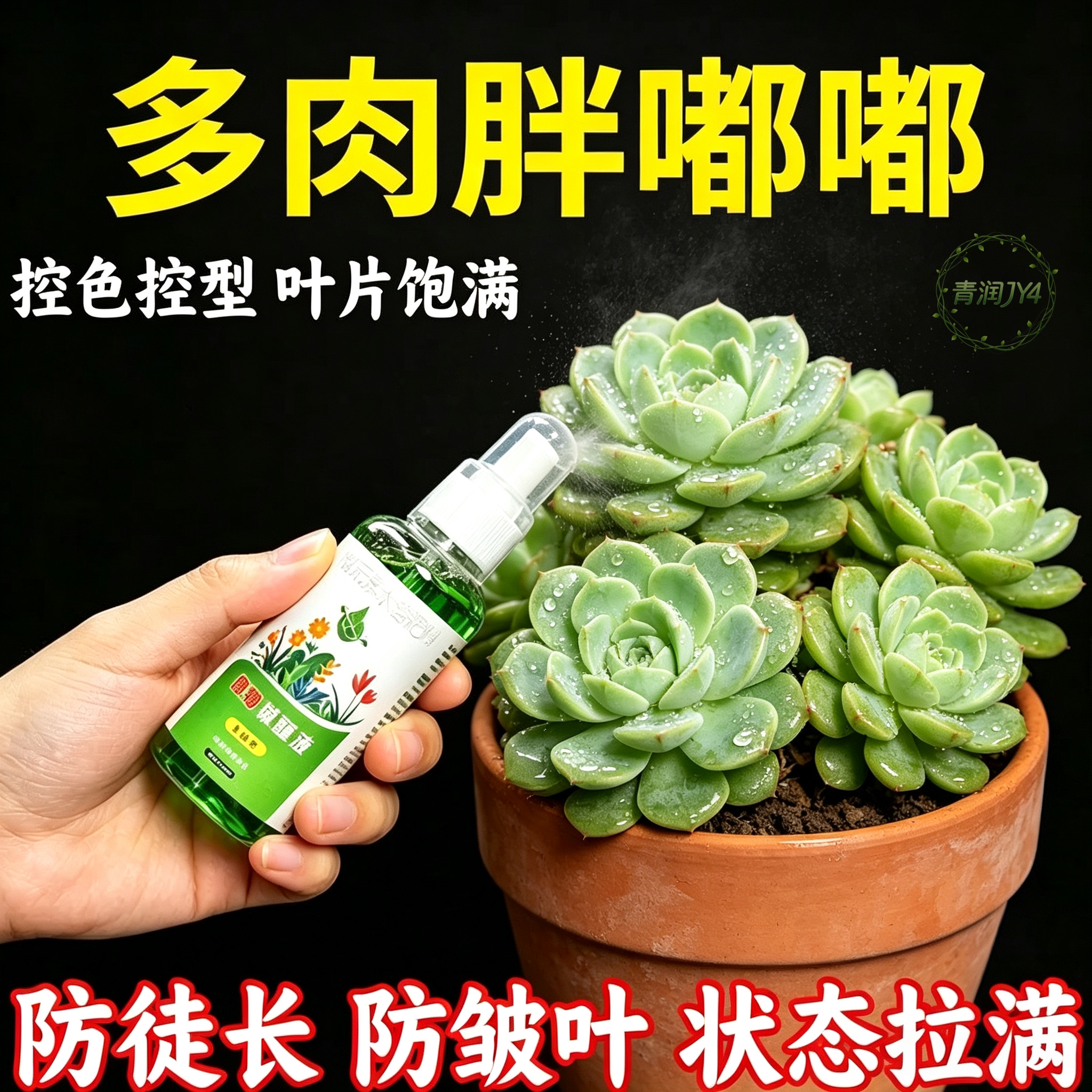 多肉专用惊醒液营养液爆芽增肥花卉绿植通用增色助壮剂免稀释肥
