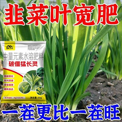 韭菜专用破僵猛涨灵强力打破僵苗天麻促进生根根系发达分蘖多抗病