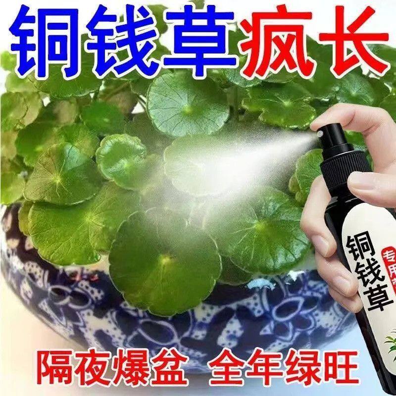 【植物疯长】铜钱草营养液免稀释专用肥预防黄叶干枯促发芽长绿叶