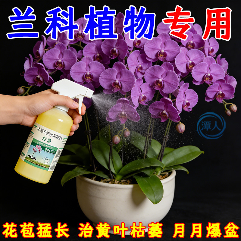 【兰科通用】兰花专用兰菌爆根催芽促苞催花防枯萎黄叶不开花叶肥