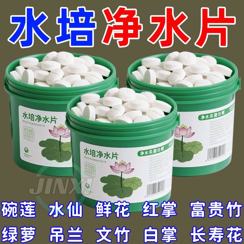 【不臭水】水培植物净水片鲜花保鲜富贵竹碗莲净水专用花卉通用
