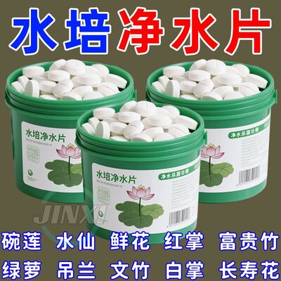 【不臭水】水培植物净水片鲜花保鲜富贵竹碗莲净水专用花卉通用