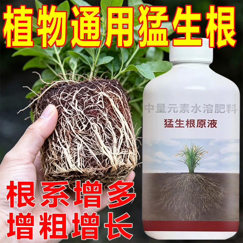 猛生根原液强力生根剂移栽扦插