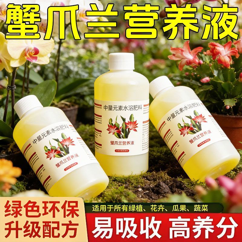 蟹爪兰专用营养液四季开花延长花期防黄叶烂根枯萎免稀释营养液