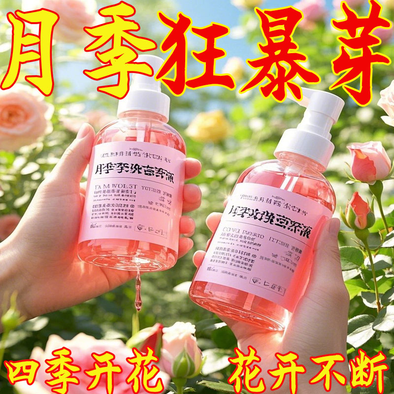 月季玫瑰专用营养液防黄叶园艺水培树木生根养花专用肥四季通用