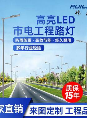 LED市电道路照明灯6米8米10米30w50w60w80w单双臂路灯路灯杆节能