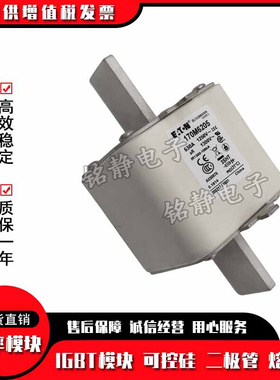 170M6213 170M6214 170M6215全新现货熔断器170M6216