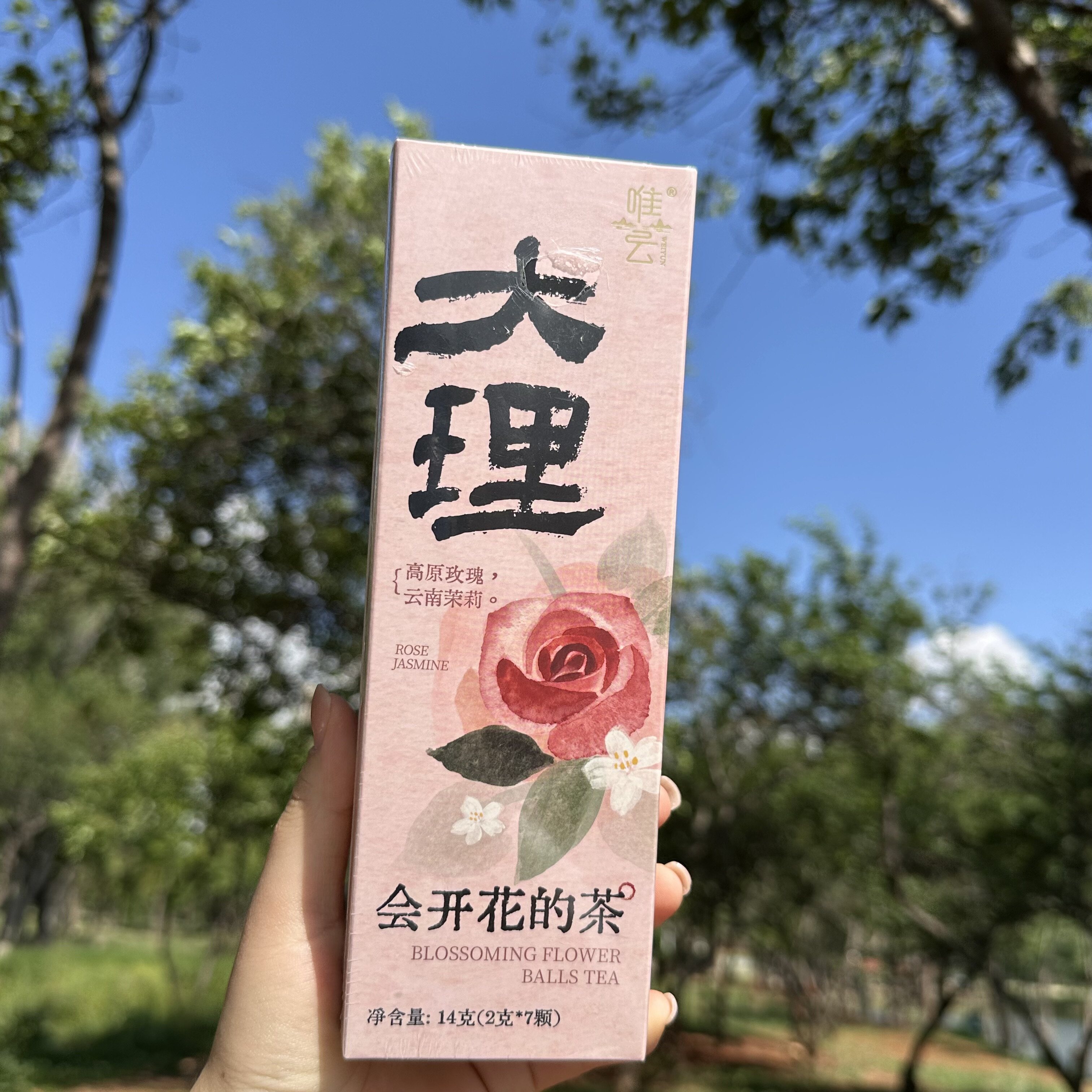 云南原产高原玫瑰云南茉莉