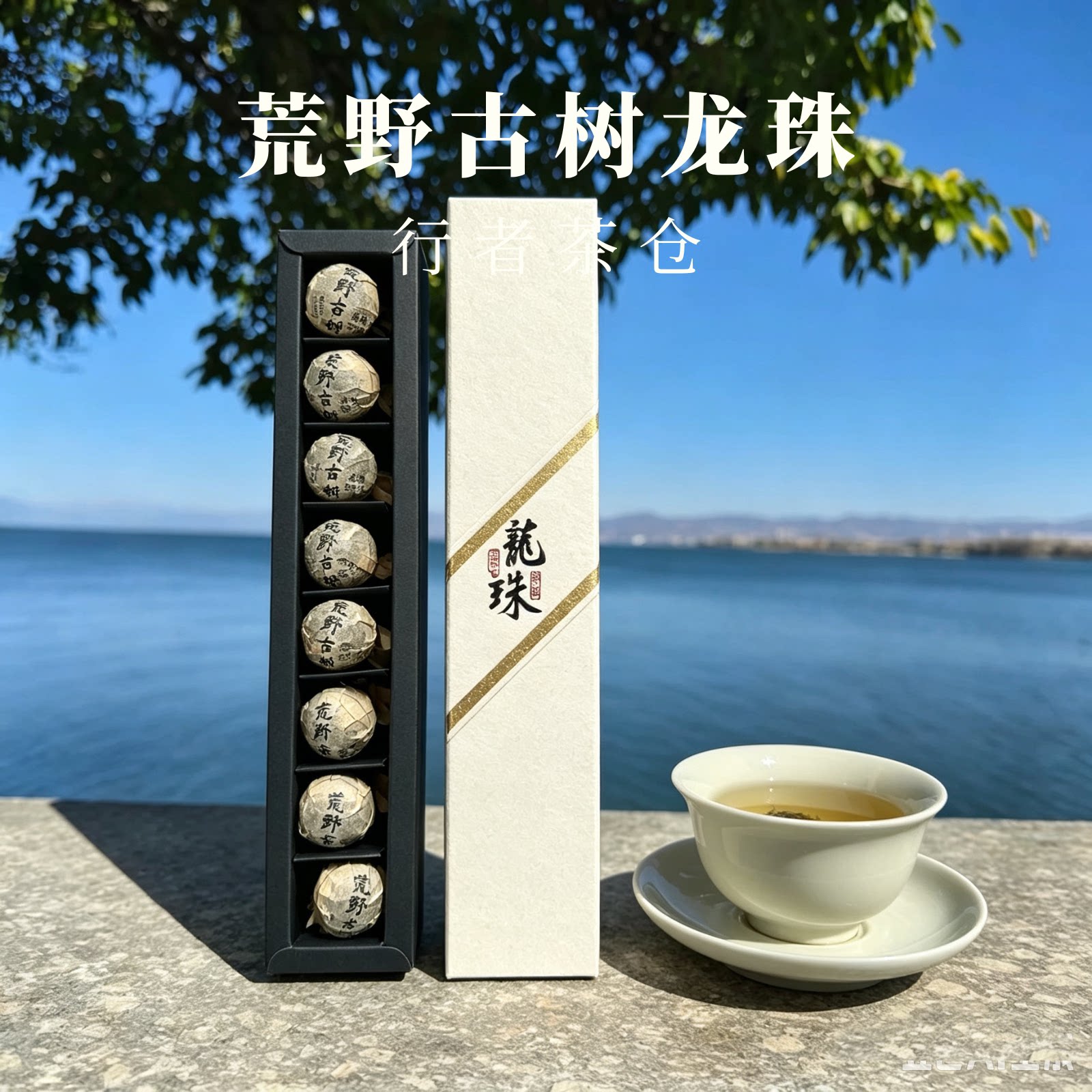 荒野龙珠纯料春茶普洱生茶云南特产茶叶紧压茶伴手礼礼物8颗大理
