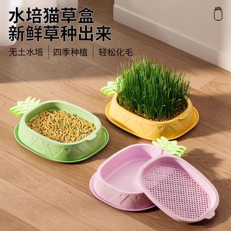 懒人水培猫草杯化毛排毛球
